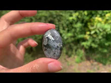 Charger et lire la vidéo dans la visionneuse de la Galerie, Larvikite 47