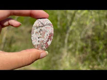 Charger et lire la vidéo dans la visionneuse de la Galerie, Jaspe Léopard 5