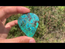 Charger et lire la vidéo dans la visionneuse de la Galerie, Chrysocolle 1
