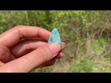 Charger et lire la vidéo dans la visionneuse de la Galerie, Larimar 24