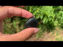 Charger et lire la vidéo dans la visionneuse de la Galerie, Oeil de faucon 11