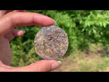 Charger et lire la vidéo dans la visionneuse de la Galerie, Agate sagénitique 35