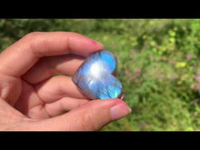 Charger et lire la vidéo dans la visionneuse de la Galerie, Labradorite 260