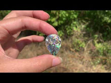 Charger et lire la vidéo dans la visionneuse de la Galerie, VENDU Abalone 39