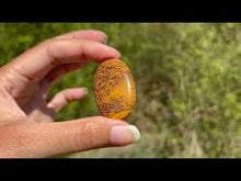 Charger et lire la vidéo dans la visionneuse de la Galerie, Jaspe Mariam 24