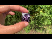 Charger et lire la vidéo dans la visionneuse de la Galerie, Kammererite 25