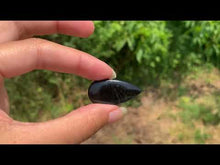 Charger et lire la vidéo dans la visionneuse de la Galerie, Oeil de faucon 13