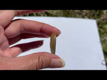 Charger et lire la vidéo dans la visionneuse de la Galerie, Fluorite 30