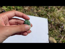 Charger et lire la vidéo dans la visionneuse de la Galerie, Jade Néphrite 9