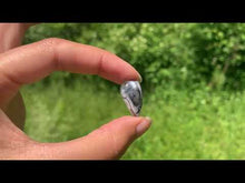 Charger et lire la vidéo dans la visionneuse de la Galerie, VENDU Agate dendritique 44