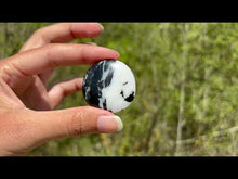 Charger et lire la vidéo dans la visionneuse de la Galerie, Jaspe Zebré 2