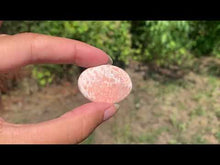 Charger et lire la vidéo dans la visionneuse de la Galerie, Scolécite 36