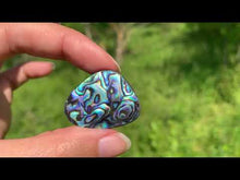 Charger et lire la vidéo dans la visionneuse de la Galerie, Abalone 64