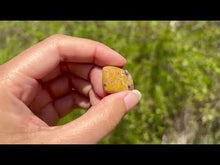 Charger et lire la vidéo dans la visionneuse de la Galerie, Jaspe Océan 14