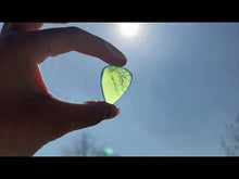 Charger et lire la vidéo dans la visionneuse de la Galerie, Jade Néphrite 24