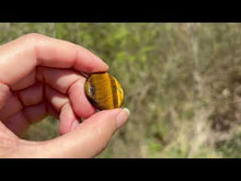 Charger et lire la vidéo dans la visionneuse de la Galerie, Oeil de tigre 70