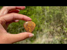 Charger et lire la vidéo dans la visionneuse de la Galerie, Jaspe Mariam 16