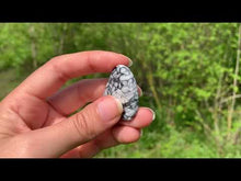 Charger et lire la vidéo dans la visionneuse de la Galerie, Pinolite 22