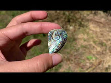 Charger et lire la vidéo dans la visionneuse de la Galerie, VENDU Abalone 45