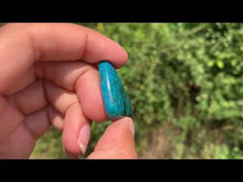Charger et lire la vidéo dans la visionneuse de la Galerie, Chrysocolle 21