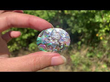 Charger et lire la vidéo dans la visionneuse de la Galerie, VENDU Abalone 46