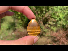 Charger et lire la vidéo dans la visionneuse de la Galerie, Oeil de tigre 58