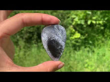 Charger et lire la vidéo dans la visionneuse de la Galerie, Agate dendritique 66