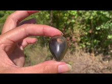 Charger et lire la vidéo dans la visionneuse de la Galerie, Quartz Fumé 6