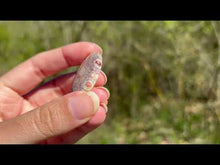 Charger et lire la vidéo dans la visionneuse de la Galerie, Jaspe oeil d'oiseau 4