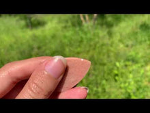 Charger et lire la vidéo dans la visionneuse de la Galerie, Microcline 72