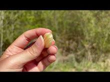 Charger et lire la vidéo dans la visionneuse de la Galerie, Calcite jaune 3