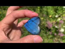 Charger et lire la vidéo dans la visionneuse de la Galerie, Labradorite 250