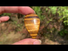 Charger et lire la vidéo dans la visionneuse de la Galerie, Oeil de tigre 46