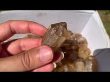 Charger et lire la vidéo dans la visionneuse de la Galerie, Citrine brut 15