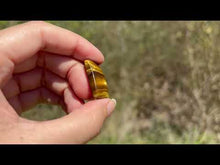 Charger et lire la vidéo dans la visionneuse de la Galerie, Oeil de tigre 75