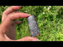 Charger et lire la vidéo dans la visionneuse de la Galerie, Agate sagénitique 12