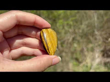 Charger et lire la vidéo dans la visionneuse de la Galerie, Oeil de tigre 69