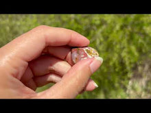 Charger et lire la vidéo dans la visionneuse de la Galerie, Jaspe Océan 10