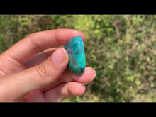 Charger et lire la vidéo dans la visionneuse de la Galerie, Chrysocolle 9