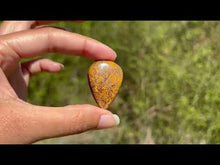 Charger et lire la vidéo dans la visionneuse de la Galerie, Jaspe Mariam 25