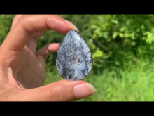 Charger et lire la vidéo dans la visionneuse de la Galerie, Agate dendritique 67