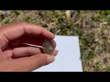 Charger et lire la vidéo dans la visionneuse de la Galerie, Quartz à Actinolite 5