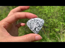 Charger et lire la vidéo dans la visionneuse de la Galerie, Pinolite 17