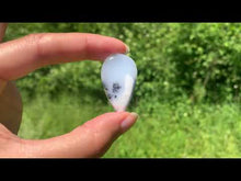 Charger et lire la vidéo dans la visionneuse de la Galerie, Agate dendritique 47