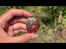 Charger et lire la vidéo dans la visionneuse de la Galerie, Jaspe Sang de Dragon 10