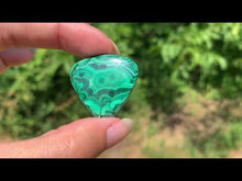 Charger et lire la vidéo dans la visionneuse de la Galerie, Malachite 72