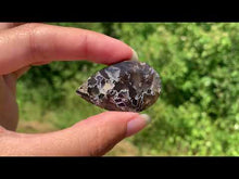 Charger et lire la vidéo dans la visionneuse de la Galerie, Agate sagénitique 27