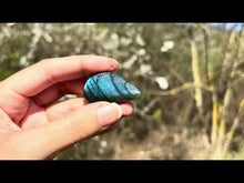 Charger et lire la vidéo dans la visionneuse de la Galerie, Labradorite 330