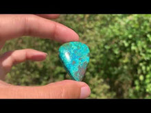 Charger et lire la vidéo dans la visionneuse de la Galerie, Chrysocolle 14