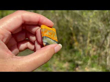 Charger et lire la vidéo dans la visionneuse de la Galerie, VENDU Jaspe Bumblebee 22